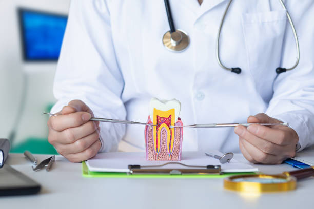 Best Emergency Root Canal Treatment in Elk Ridge, UT